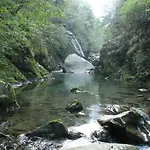 Nido